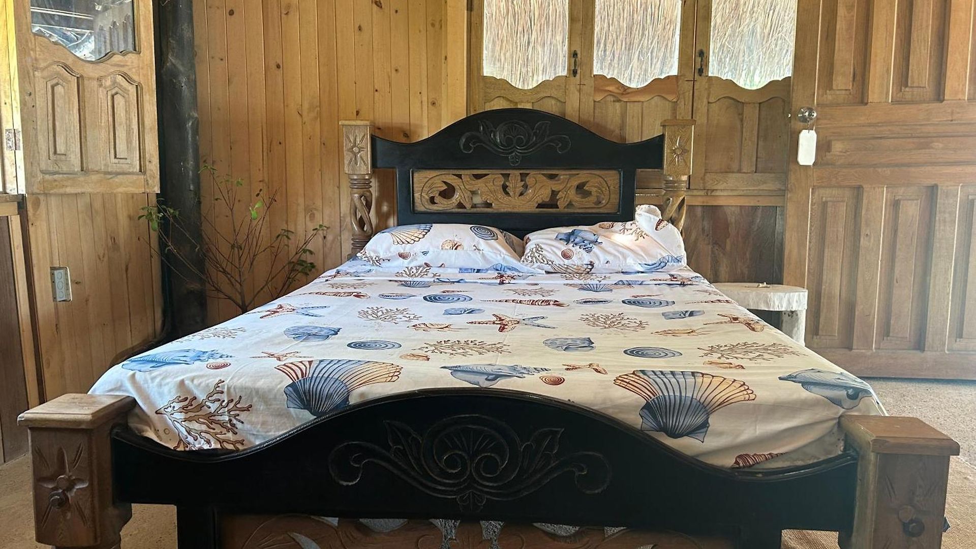 Punta Arena Ecohostal&ecofit – Your Eco-friendly Oasis 02