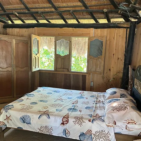 Punta Arena Ecohostal And Ecofit - Your Eco-friendly Oasis 02 Pensión