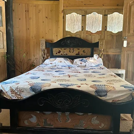 Punta Arena Ecohostal And Ecofit - Your Eco-friendly Oasis 02